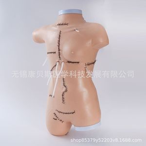 Modèle de démonstration de suture et de bandage chirurgical KBS/FH, modèle de suture, modèle de bandage pour plaies, formation en nettoyage des plaies pour infirmières - Product Image 4