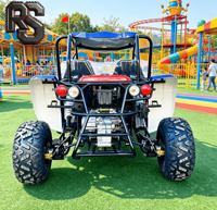 Dune Buggy Personnalisé Raxen 300cc pour Adultes, Conçu pour la Conduite sur Sentier