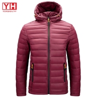 Veste d'hiver matelassée en duvet pour homme, tailles M-4XL, brillante et épaisse, avec capuche, style Bubble Coat