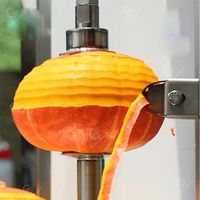 Machine d'épluchage de citrouille d'acier inoxydable d'approvisionnement d'usine/éplucheur de pastèque/machine d'éplucheur de papaye