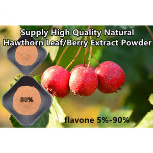 天然サンザシ果実エキス <span class=keywords><strong>20</strong></span>:<span class=keywords><strong>1</strong></span> サンザシベリーパウダー フラボノイド5% 90% - Product Image 6