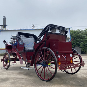 Calèche royale à 4 roues pour mariage, transport spécial pour visites touristiques, chariot de princesse rouge convertible - Product Image 5