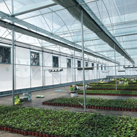 Serre agricole multi-chapelles en film plastique avec système hydroponique, en acier galvanisé, pour la culture de légumes