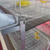 Cage à poulets à 3 niveaux et 2 portes pour 60 poulets avec portes à accès facile