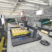 Nouveau lot pas cher Tij Egg imprimante à plat Machine de qualité automatique pour la date de péremption et le codage du numéro de lot sur l'emballage des aliments et des boissons