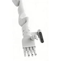 Plataforma Móvil con Brazo Robótico Compuesto, Robot Humanoide con Actuadores de Servoarticulación para Manufactura Inteligente y Logística