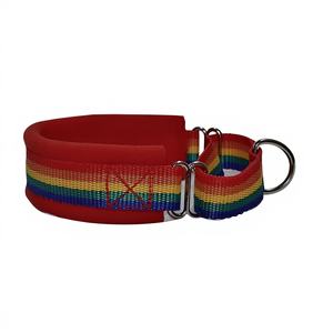 Collar de perro Martingale personalizado con forro de terciopelo sólido, color arcoíris, 50 mm de ancho - Product Image 1