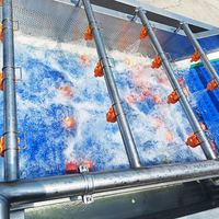 Continue industriële bubbelwasmachine automatische fruit- en groentewasser voor bladgroenten en bessen verwerkingslijn