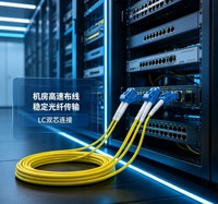 Câble de raccordement fibre optique Ipolex LC vers LC 1G/10GB OS2 Duplex 9/125µm LSZH SMF pour transceiver SFP/SFP+ 2 mètres 1 pièce
