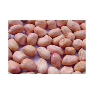 Nhà Máy Bán Hàng Trực Tiếp Đặc Biệt Hot Bán Số Lượng Lớn Da Đỏ Đậu Phộng Hạt Nhân Trung Quốc Nguyên Đậu Phộng Hạt Nhân Mà Không Có Vỏ - Product Image 5