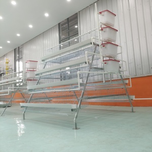 Sıcak satış 4 katlı a tipi katman tavuk kafesi döşeme tavuklar yumurta 1000 tavuk tavuk tavuk çiftliği tasarım zimbabve satılık - Product Image 3