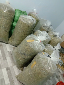 Vert Jaune Séché Mâle Papaye Fleurs Graines Pour Thé Herbes Vietnam + 84 767 550 132 - Product Image 4