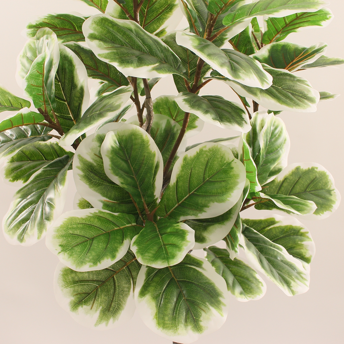 Verde y blanco