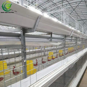 Poulailler automatique pour poules pondeuses, type H, en acier galvanisé, entretien facile, contrôle centralisé, pour l'élevage à grande échelle, Nouveau - Product Image 2