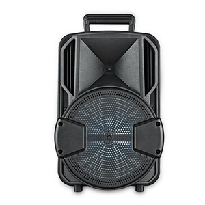 Altavoz Amplificador de Karaoke Portátil Recargable con Subwoofer 3D de 8 Pulgadas, Precio de Fábrica Más Bajo - Product Image 2