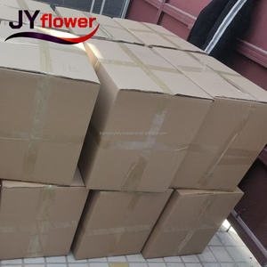 JY Venta al por Mayor <span class=keywords><strong>de</strong></span> Plumas <span class=keywords><strong>de</strong></span> Avestruz Realistas Hechas a Mano <span class=keywords><strong>de</strong></span> 60 cm <span class=keywords><strong>de</strong></span> Largo, Decoración <span class=keywords><strong>de</strong></span> Pared, Tela Natural <span class=keywords><strong>de</strong></span> Lujo, Plumas a Granel Baratas para Bodas, Día <span class=keywords><strong>de</strong></span> la Madre - Product Image 6