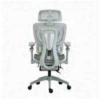 Silla de Oficina Ergonómica Transpirable de Malla Completa con Soporte Lumbar Ajustable, Reposabrazos 9D Giratorio para Oficina en Casa, Garantía de 2 Años