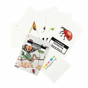 맞춤형 곤충 메모리 게임 카드 교육용 플래시 카드인지 카드 세트 종이 소재의 포커 광고 어린이