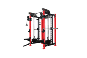 Rack Multifunzionale con Carico a Perni dal Design Elegante per Uso Commerciale, Macchine di Alta Qualità con Selezione del Carico a Perni - Product Image 2