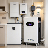 Batterie solaire hybride YUTANDA pour résidentiel, hors réseau, LiFePO4, sur roues, 51,2 V, 200 Ah, 300 Ah, 5 kWh-16 kWh, BMS intelligent