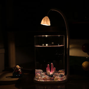 Hoge Transparantie Kleine Luie Kunstmatige Landschap Glas Desktop Aquarium Moderne 5W Nacht Licht Betta Aquarium Voor Slaapzaal - Product Image 5