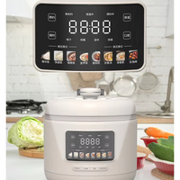 Cuisinière électrique multifonction 5L personnalisée B2B, 900W, haute efficacité, cuiseur à pression numérique avec pot antiadhésif, directement de l'usine