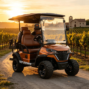 Voiture de golf électrique à faible consommation d'énergie et sans pollution pour les zones d'éco-tourisme – Coopération avec les distributeurs étrangers - Product Image 1