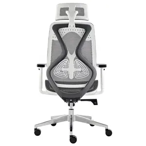 Bifma-Chaise de bureau ergonomique, chaise pivotante en maille, meubles commerciaux de luxe modernes, haute qualité