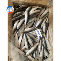 Poisson scad rond frais et congelé, poisson scad queue jaune, poisson à petits yeux, fournisseur en gros