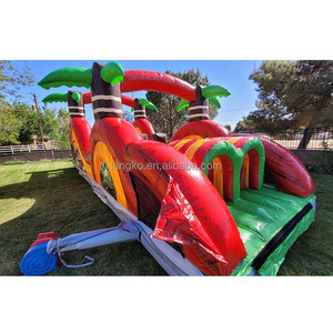 Vente flash Castillo Inflable Parcours d'obstacles gonflable <span class=keywords><strong>pour</strong></span> jeux en plein air Fête d'<span class=keywords><strong>anniversaire</strong></span> Gonflable <span class=keywords><strong>pour</strong></span> <span class=keywords><strong>location</strong></span> - Product Image 2