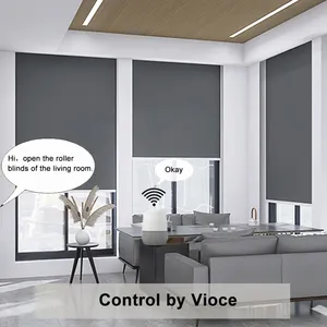 Electric motorized and manual curtains smart blackout fabric wifi app control roller blinds for home outdoor roller blackout