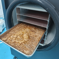 110V 10 kg Vriesdroogapparaat voor vlees, dierenvoer en fruit