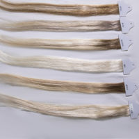 Vente Flash : Nuancier de Couleurs de Cheveux Humains Remy Double Drawn Populaire – Brun Foncé et Blond 613 – Carte de Couleurs pour Salons Haut de Gamme