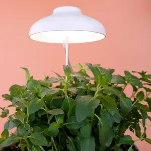 Reproduction de lampe simulée de lumière solaire, parapluie couleur mini en bois, led, usb, pour la croissance des plantes dans le jardin, w 5w