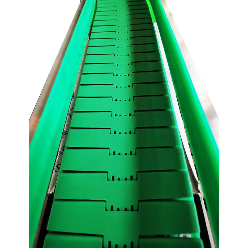 Trasportatore del raschietto della catena delle lattine delle bottiglie verdi termoplastiche dell'unità di elaborazione del commestibile internazionale