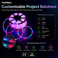 Toprex Custom 13mm DMX RGB Smart LED Flat Rope Light IP65 Waterproof 3-Wire for Commercial Outdoor Projects Wholesale