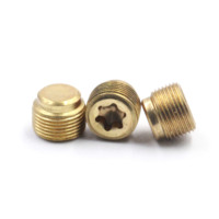Bouchon de tuyau à douille Torx interne NPT 1/8" 1/4" 3/8" 1/2" 3/4", Vis de réglage M6x10 en acier inoxydable 304, laiton et cuivre