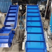 Ligne d'emballage à convoyeur à bande modulaire en PVC de qualité alimentaire avec cadre en acier inoxydable haute capacité et vitesse réglable