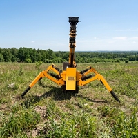 Mini-grue araignée portative de 1 tonne avec moteur Euro 5 pour la construction et l'entretien en intérieur