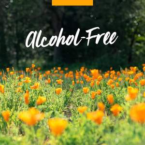 Compléments alimentaires pour renforcer l'immunité, baies d'églantier, zinc, vitamine 6-en-1, complément multivitaminé liquide, vitamine D3 et vitamine C, gouttes immunitaires - Product Image 5