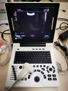 Meilleur scanner à ultrasons portable pour chèvres équipement à ultrasons vétérinaire ordinateur portable échographie vétérinaire - Product Image 4