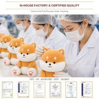 Peluche chiot avec sourire brodé et coussinets en forme de cœur corail, chien en peluche doux avec ailes d'ange pour décoration de bureau et cadeau confortable