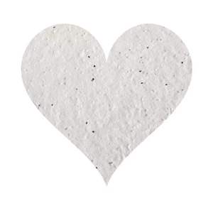 Nhà Máy Giá Tùy Chỉnh Hạt Giống Giấy Hangtags Sinh Thái Thân Thiện Với Plantable Thẻ Cho May Mặc Phụ Kiện May Mặc - Product Image 3