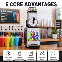 Machine à slush commerciale à 2 réservoirs pour boissons glacées pour restaurant