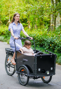 Bicicleta Eléctrica con Motor en el Buje Trasero, Batería de Litio, 6 Velocidades, Cuadro de Acero al Carbono, Inteligente, con Portaequipajes Trasero UB9034E - Product Image 4