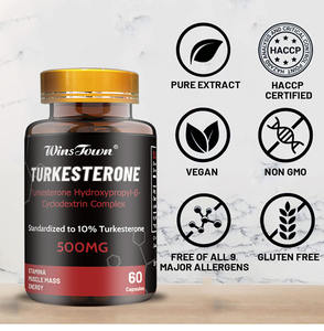 Extrait d'Ajuga Turkestanica de Winstown Daynee, aide à l'hypertrophie musculaire, capsules de turkesterone, complément de turkesterone - Product Image 4