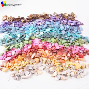 1000G Colour Irregular mosaic shell Scraps for DIY craft Hobbies, Mother Peal of shell MEDIUM size