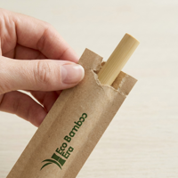 Pailles en bambou 100% naturelles et écologiques - Utilisation en camping, durables, biodégradables, réutilisables, lisses, sans bavures, de haute qualité, imprimables avec logo