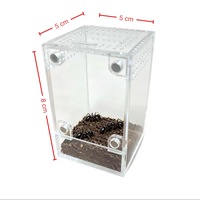 Enclos moderne en acrylique transparent pour reptiles, habitat minimaliste détachable pour geckos, tarantules, araignées, boîte d'élevage pré-assemblée 3 mm
