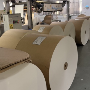 Rouleau de papier enduit de PE en gros pour usine, rouleau jumbo, taille personnalisée, matière première pour la fabrication de produits alimentaires en papier - Product Image 3